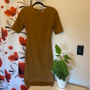 Aritzia Babaton Dress - Perfect for Autumn 🍂
